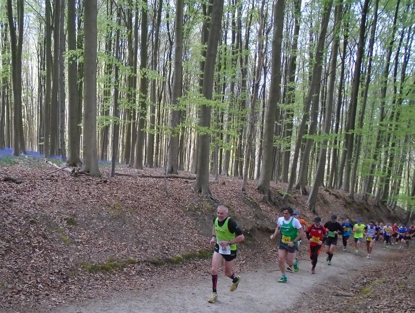 Hyacintenjogging 2016 - 073